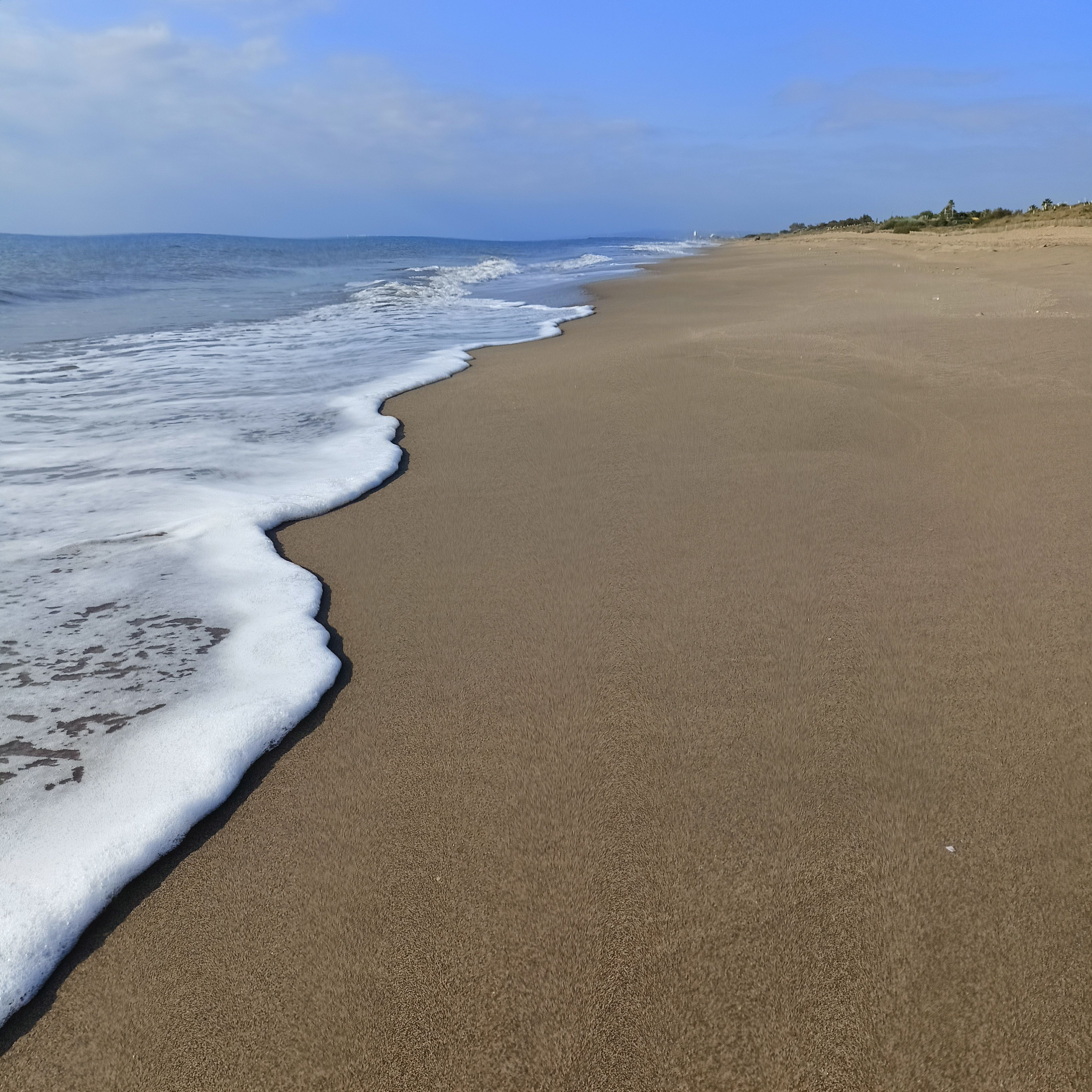 Goa